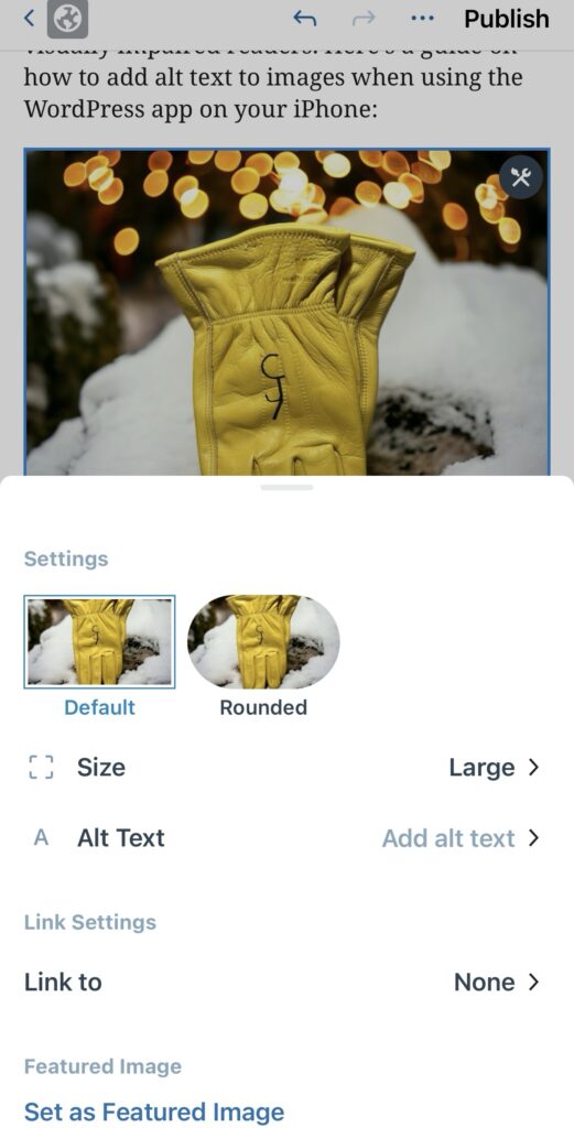 Adding Alt Text to Images in the WordPress App for iPhone